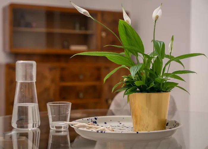 Ecomarina * 리보르노